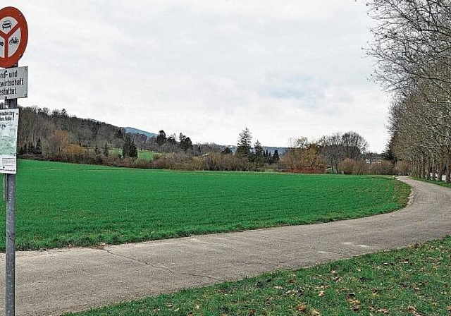 Offene Pläne: Ungefähr in diesem Bereich würde die bestehende Birsigtalstrasse (ganz rechts im Bild) in die neue Umfahrung Reinach (heute Kulturland) münden. Foto: Juri Junkov