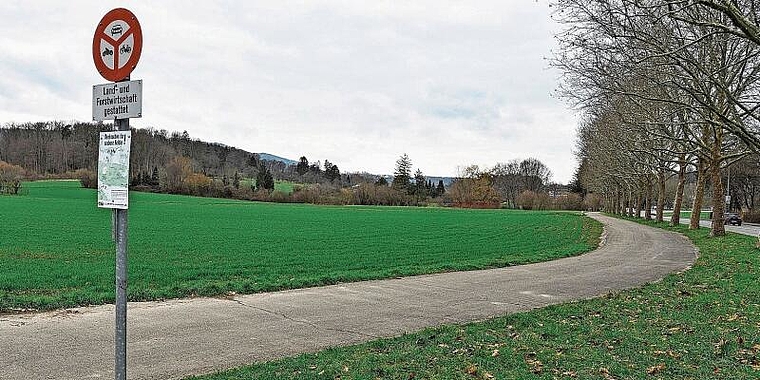 Offene Pläne: Ungefähr in diesem Bereich würde die bestehende Birsigtalstrasse (ganz rechts im Bild) in die neue Umfahrung Reinach (heute Kulturland) münden. Foto: Juri Junkov