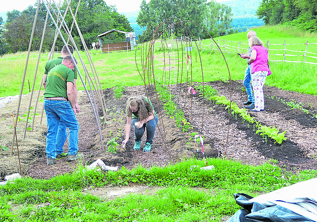 Gemüsegarten: Auf der Anhöhe des Geländes werden verschiedene Gemüse und Beeren angepflanzt. Fotos: Thomas Immoos
