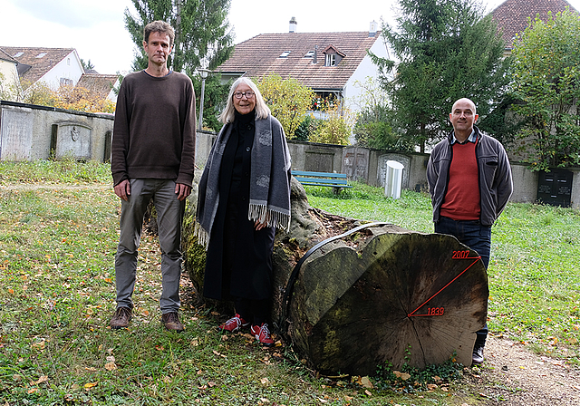 Bei Gregori Bezzolas «Stammbaum»: Johannes Sloendregt, Barbara Groher und Gregori Bezzola (v. l.).  Foto: Thomas Brunnschweiler