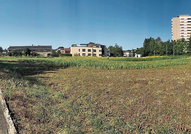 Mauern statt Gras: Die Wiese entlang der Baselstrasse wird bald einer neuen Überbauung weichen. Foto: Caspar Reimer