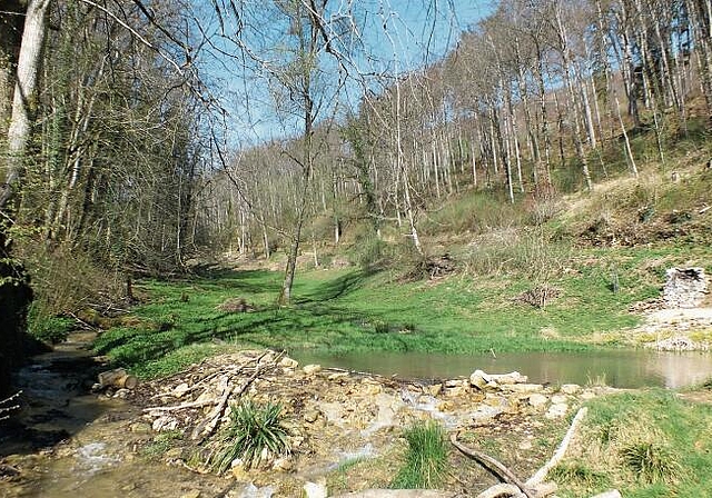 Ein ruhiges Fleckchen: Der Kraftort «Güggehü» dokumentiert die Verzahnung von Weidewirtschaft, Bach, Waldrand und Wald. Er ist ein Ort zum Verweilen. Foto: Willi wenger