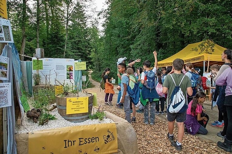 Waldhonig und Nahrung für Bienen: Der rege besuchte Posten am Eingang des Parcours. Fotos: Martin Staub