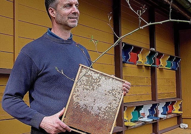 Mit Weitblick: Michael Stebler zeigt eine Wabe mit Winterfutter vor dem Vereinsbienenstand in Erschwil. Foto: Martin Staub