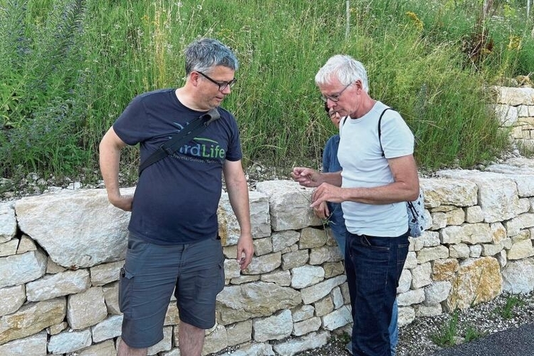 Fachexperten: Die beiden Biologen Lukas Merkelbach (links) und Daniel Knecht zeigen
die neu angesäten Pflanzen zwischen den Rebbergen in der Klus. Foto: Nicolas Blust