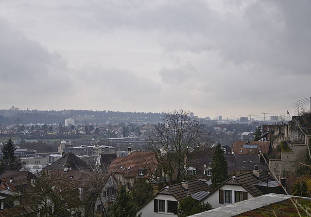 Revival: Der 58-Bus wird die Quartiere Alt-Münchenstein und die Gartenstadt während mindestens einer zweieinhalbjährigen Testphase wieder verbinden. Foto: Thomas Kramer