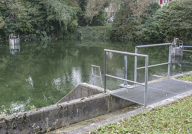 Weniger Beton, mehr Natur: Die Versickerungsanlage Kuhweid soll mit Wasserpflanzen oder Amphibien aufgewertet werden.  Foto: AZ Medien