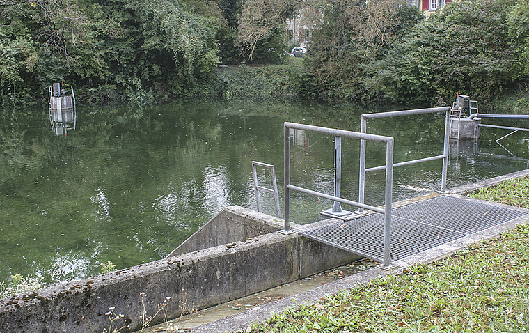 Weniger Beton, mehr Natur: Die Versickerungsanlage Kuhweid soll mit Wasserpflanzen oder Amphibien aufgewertet werden.  Foto: AZ Medien