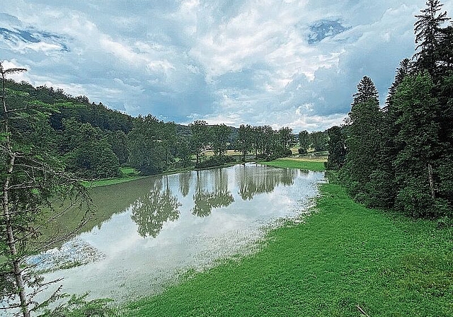 See in Seewen: Der viele Regen liess letzte Woche im Landwirtschaftsgebiet von Seewen einen See entstehen. Foto: Bea Asper