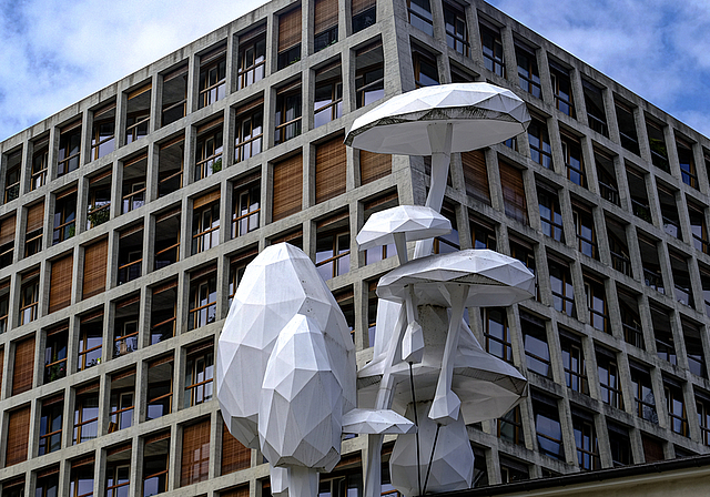 Scheinnatur trifft auf moderne Architektur: «A band of floating mushrooms» vor dem Helsinki-Gebäude der Architekten Herzog & De Meuron.  Foto: Thomas Brunnschweiler