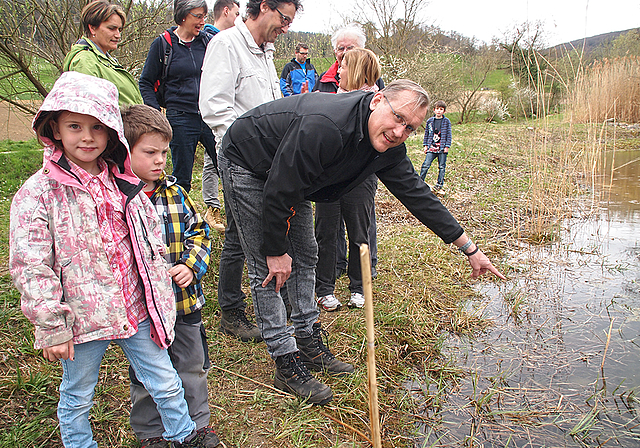 Praktischer Naturschutz: Gemeinderat Paul Svoboda beim vorderen Klusweiher. Er zeigt den Besuchern den Laich der Amphibien. Foto: Tobias Gfeller