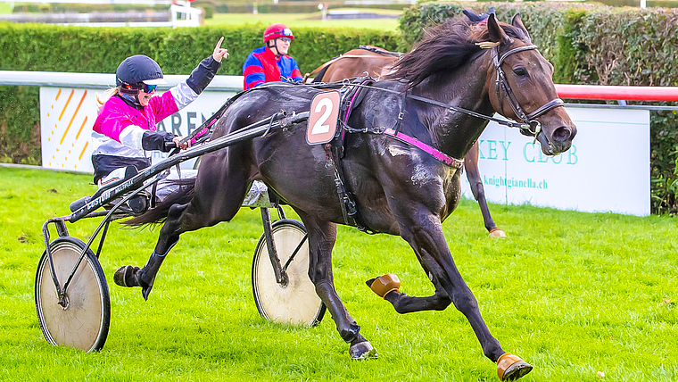 Gewannen den Preis des Kantons St. Gallen: Der Traber Kiss Forever H. C. mit Stephanie Theiler.  Foto: ZVG