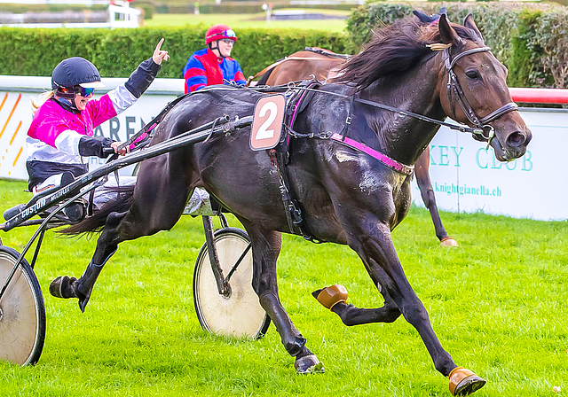 Gewannen den Preis des Kantons St. Gallen: Der Traber Kiss Forever H. C. mit Stephanie Theiler.  Foto: ZVG