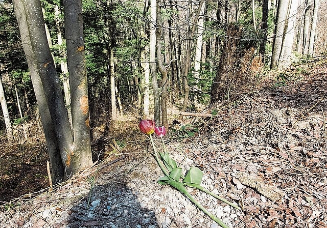 Blumen am Unfallort: Auf der Gempenstrasse starben zwei junge Männer. Foto: BZ Archiv / Nicole Nars-Zimmer