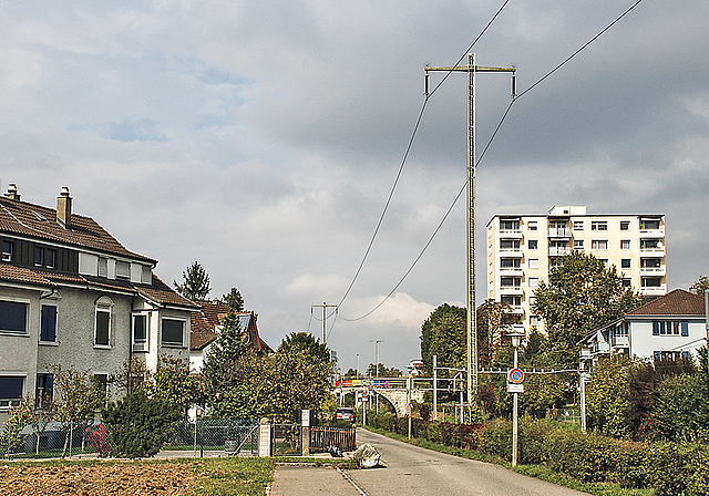 Zankapfel: Der Mast an der Dammstrasse auf der Höhe der Gartenstrasse.  Foto: Thomas Brunnschweiler