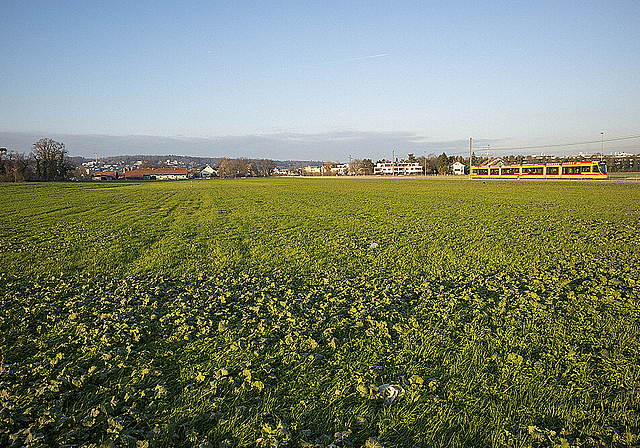 Ablehnung: Bauern wollen ihr Land zwischen Aesch und Reinach nicht für das Eidgenössische 2022 hergeben.  Foto: AZ Medien