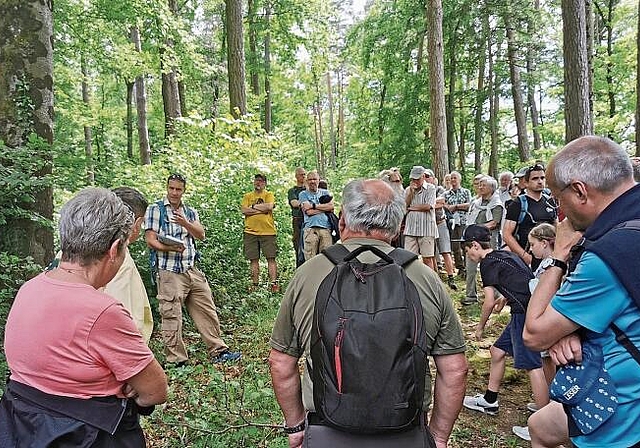 Lehrreicher Banntag: Raphael Häner, Geschäftsführer des Vereins Wald beider Basel (Dritter von links) wusste viel Spannendes über den Laufner Wald zu berichten. Foto: Melanie Brêchet