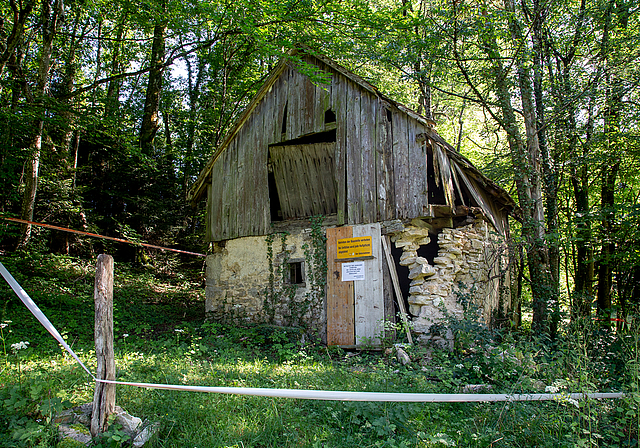 Vor dem Rückbau: Der Weidstall in baufälligem Zustand.