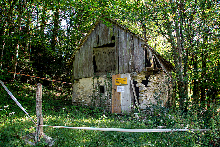 Vor dem Rückbau: Der Weidstall in baufälligem Zustand.