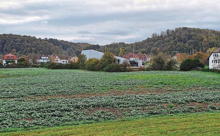 Es soll ein «Wir-Gefühl» entstehen: Zwischen der Schulstrasse und der Dammstrasse soll ein neues Quartier gebaut werden – das Kuspo (im Hintergrund) ist von der Überbauung nicht betroffen. Foto: Fabia Maieroni