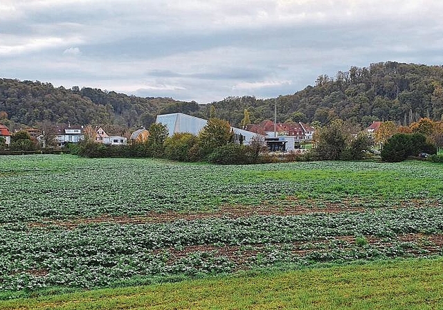 Es soll ein «Wir-Gefühl» entstehen: Zwischen der Schulstrasse und der Dammstrasse soll ein neues Quartier gebaut werden – das Kuspo (im Hintergrund) ist von der Überbauung nicht betroffen. Foto: Fabia Maieroni