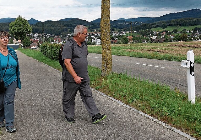 Warnung: Die Geräte an den Pfosten blinken nachts, wenn sich Füchse und Hasen der Strasse nähern. Foto: GINI MInonzio