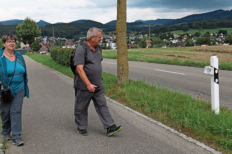 Warnung: Die Geräte an den Pfosten blinken nachts, wenn sich Füchse und Hasen der Strasse nähern. Foto: GINI MInonzio