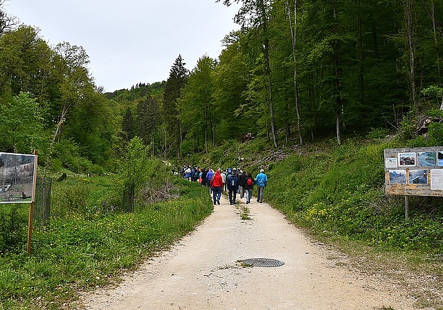 <em>Halbzeit-Bilanz: </em>Auf dem Spaziergang konnte die Bevölkerung die Naturelemente, die am Entstehen sind, begutachten.Foto: Bea asper