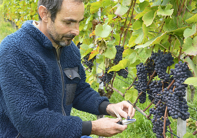 Qualitätsprüfung: Sorgfältig träufelt der Betriebsleiter des Tschäpperli, Ulrich Bänninger, Traubensaft auf die Messfläche des Refraktometers.  Foto: Heiner Leuthardt