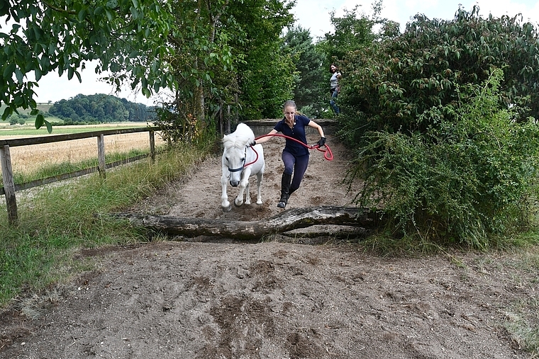 Hier ist Harmonie gefragt: Beim Pony Jump and Run müssen Pony und Mensch besonders gut miteinander kommunizieren.  Foto: Bea Asper