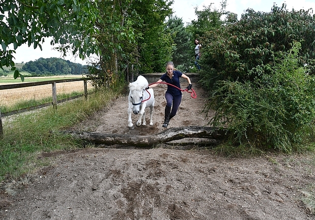 Hier ist Harmonie gefragt: Beim Pony Jump and Run müssen Pony und Mensch besonders gut miteinander kommunizieren.  Foto: Bea Asper