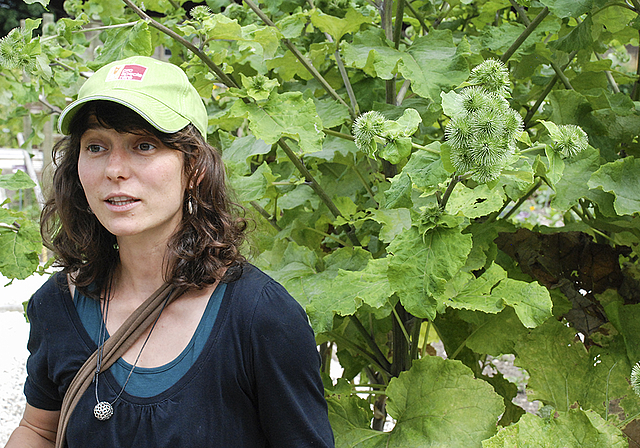 Einsatz für genetische Vielfalt: Corina Meier erklärt die Gewinnung von Saatgut anhand der Essbaren Klette.  Foto: Thomas Brunnschweiler