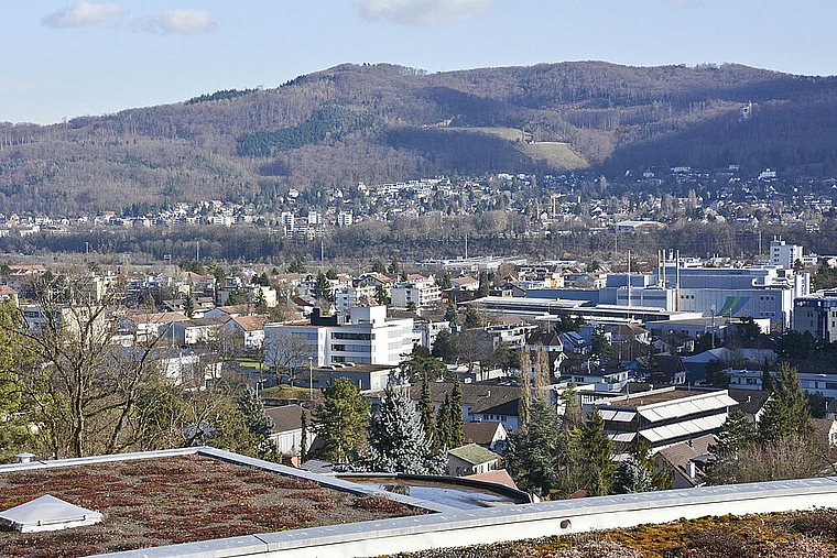 Schulhaus-Landschaft: Blick vom Rebberg auf das frisch renovierte Bachmatten-Schulhaus. Links, hinter dem Baum , das Lochackerschulhaus (Bachmatten II) und rechts das KV Reinach BL.  Foto: Heiner Leuthardt