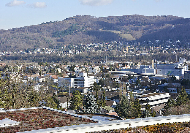 Schulhaus-Landschaft: Blick vom Rebberg auf das frisch renovierte Bachmatten-Schulhaus. Links, hinter dem Baum , das Lochackerschulhaus (Bachmatten II) und rechts das KV Reinach BL.  Foto: Heiner Leuthardt