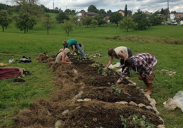 Die Mitglieder der «Nuglar Gärten»: Sie legen den Beerengarten Pro Specie Rara an (August 2014). Foto: ZVG. Zoé Beutler 
