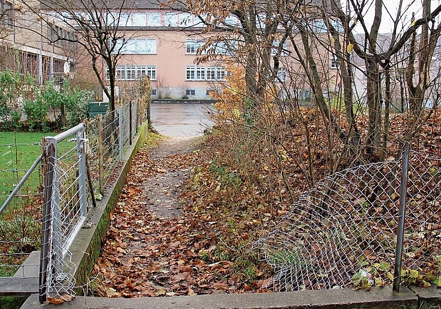 Trampelpfad: Die Abkürzung zum Neumattschulhaus besteht schon seit Jahrzehnten, in den letzten Monaten häufen sich aber Vandalismus und Littering, sagt eine Anwohnerin. Foto: Tobias Gfeller