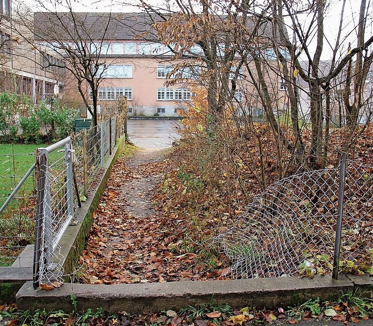 Trampelpfad: Die Abkürzung zum Neumattschulhaus besteht schon seit Jahrzehnten, in den letzten Monaten häufen sich aber Vandalismus und Littering, sagt eine Anwohnerin. Foto: Tobias Gfeller