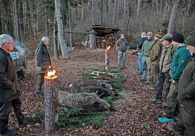 Nach erfolgreichem Jagdtag: Die erlegten Tiere werden mit einem Ritual geehrt. Fotos: Martin Staub
