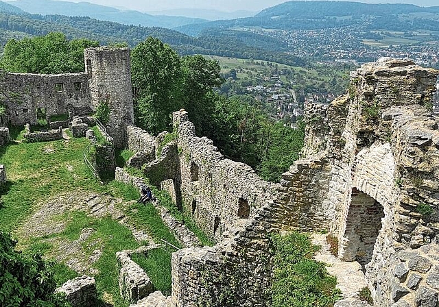 Überwachsen: Die Grundmauern der heutigen Ruine stammen aus dem 11. Jahrhundert.