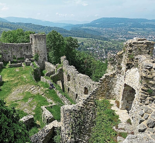 Überwachsen: Die Grundmauern der heutigen Ruine stammen aus dem 11. Jahrhundert.