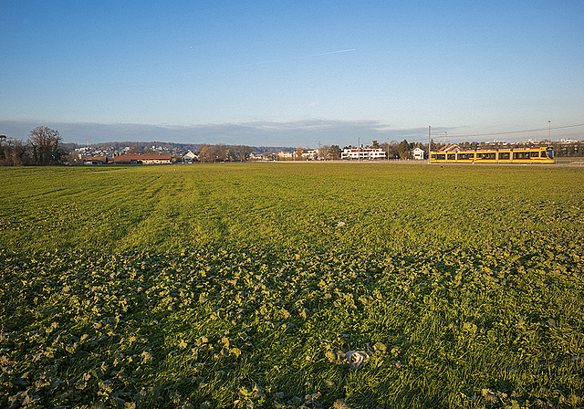 Ein Schwingerfest zwischen Aesch und Reinach? Die Skespis vor Ort ist gross. Foto: AZ Medien