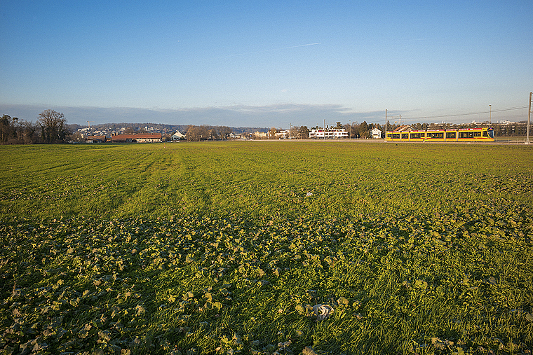 Ein Schwingerfest zwischen Aesch und Reinach? Die Skespis vor Ort ist gross. Foto: AZ Medien