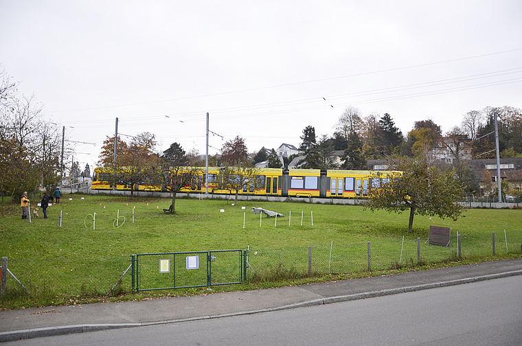 Verdichtung: Diese Wiese, wo heute Hunde trainiert werden, wird mit Wohn- und Gewerbeflächen überbaut.  Foto: tok