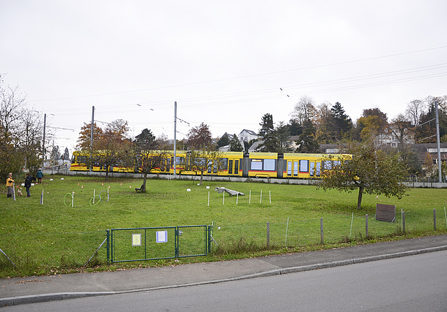 Verdichtung: Diese Wiese, wo heute Hunde trainiert werden, wird mit Wohn- und Gewerbeflächen überbaut.  Foto: tok