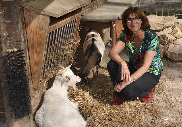 «Ich muss noch so viel lernen.» Esther Jundt, die neue Frau an der Spitze des Tierparkvereins, im Geissengehege.
