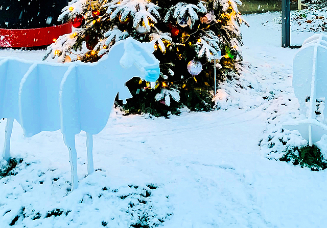 Fast schon kitschig: Der Quartierbaum vor der Gemeindeverwaltung, überzuckert vom ersten Schnee in diesem Winter.  Foto: zVg /Simon Eglin