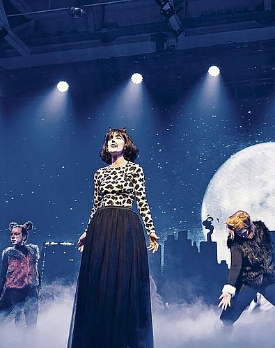 Sieben Musicals als Vorlage: Ein Auszug aus «Cats» durfte bei dem Auftritt nicht fehlen. Foto: Marc Gilgen