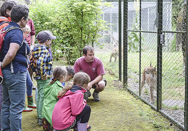 Mit dem Luchs auf Du und Du: Ueli Käser weiss viel über die Tiere zu erzählen.  Fotos: Bea Asper