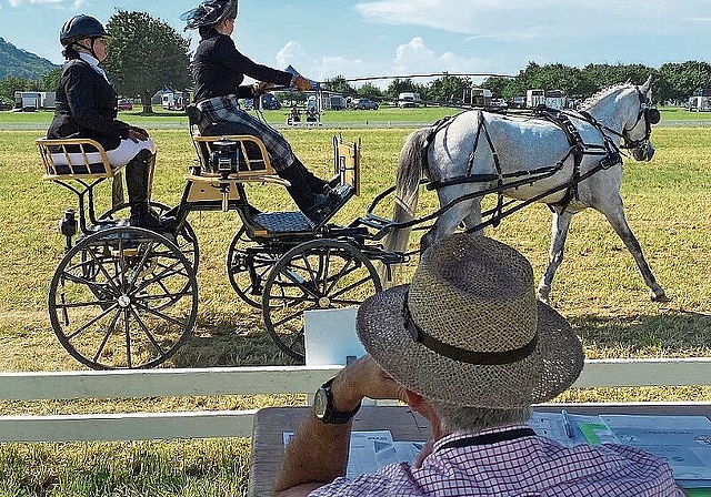 Spannung: Beim Kutschenfahren sind Genauigkeit, Geschwindigkeit und Zusammenspiel gefragt. Foto: Bea ASper