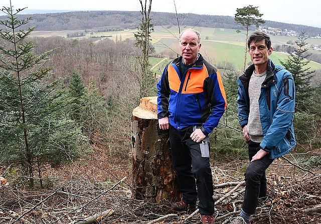 <em>Begutachten die Arbeiten im Wald: </em>Revierförster Christoph Sütterlin (links) und SP-Kantonsrat Stefan Oser. Foto: Bea Asper